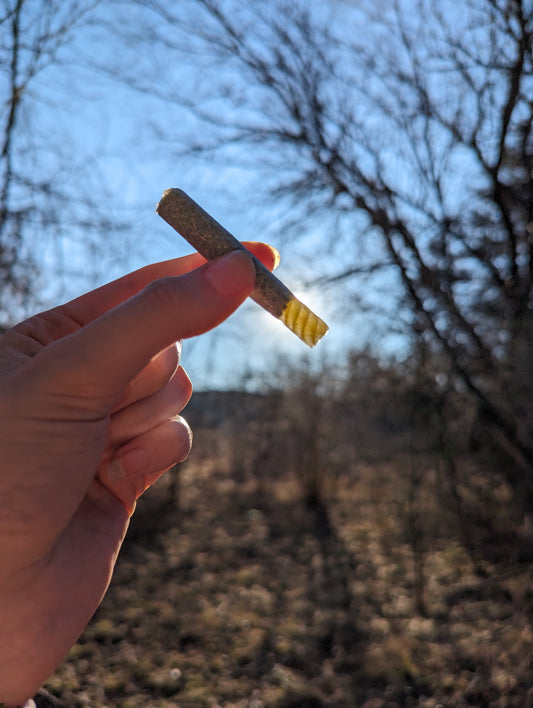 A Review of 710s Pasta Rolls